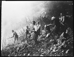 Workers saving Mount Lookout and Laurel Canyon Property from brush fire