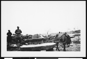 Mill grinding grain, Pekin, China, ca.1900