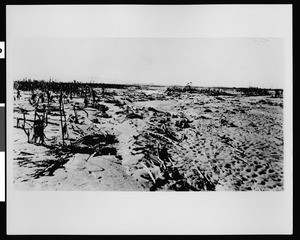 Rancho San Pedro crops destroyed during a flood on the Los Angeles River, south of Dominguez Hill, 1914