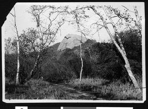 Eagle rock seen from a nearby path