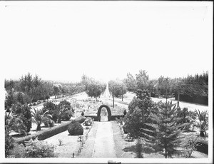 Garden on tree-lined Euclid Avenue, Ontario, California, ca.1900