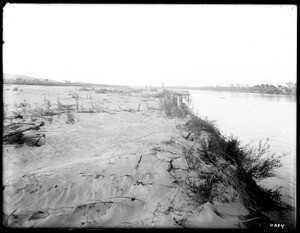 Looking up the Colorado River from an island near where it enters the Imperial Canal, ca.1903