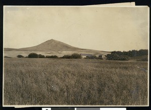 Steptoe Butte, Washington