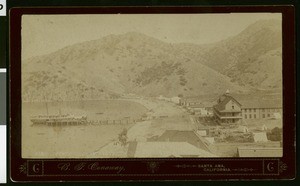 View of Avalon Harbor showing the Hermosa #1 at dock, Catalina Island, before 1905