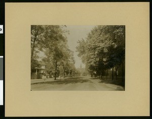 View of Sycamore Street in Chico, ca.1900