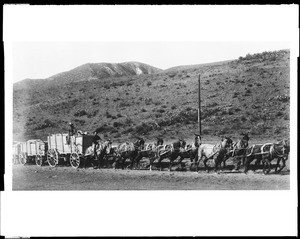 Team of horses pulling fifteen tons of barley at an unidentified location, 1900-1910