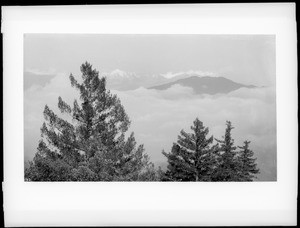 View of (or from) Mount Wilson above the clouds, ca.1930