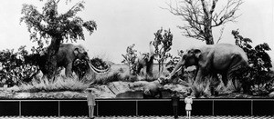 View of a diorama of prehistoric animals, possibly in the Los Angeles County Museum of Natural History