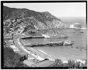 Panoramic view of the harbor and Avalon city, Santa Catalina Island