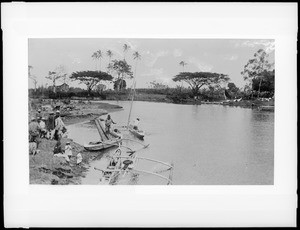 Native boats and river scene, Honolulu, 1896