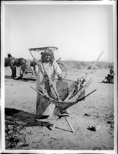 Pima Indian woman, Si-Rup, standing beside her "Kathak" which carries a load of wood, Pima, Arizona, 1904