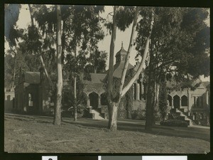 Trees in front of a building on the Berkeley campus of the University of California, ca.1900