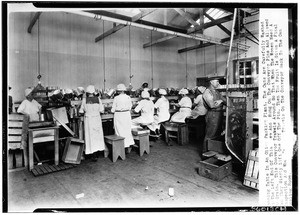 Canning table in olive packing plant