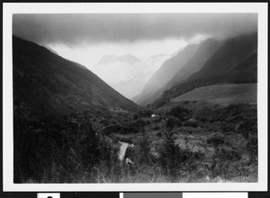 Hawaiian mountains