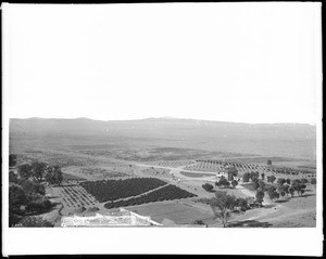 Fruit ranch owned by A.H. Judson, Beaumont, California, ca.1890-1900