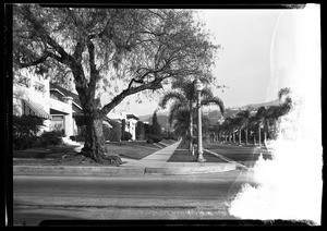 View of residential streets off Franklin Avenue near Western Avenue in Hollywood, March 1934