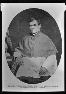 Portrait of Rt. Reverend Thaddeus Amat, C.M., D.D., second bishop of Monterey