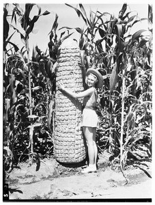 A young woman standing next to a giant ear of corn, Pomona County Fair, 1936