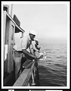 Men fishing from a fishing boat named "Freedom", ca.1930