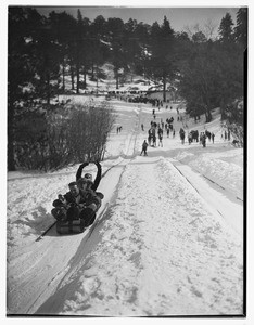 Four people in a toboggan sliding down a slope while others watch at Big Pines