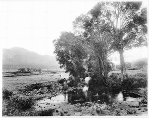 Sacred Grove Pueblo de Taos, ca.1900