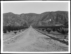 Panoramic view of a ranch in the foothills of California, ca.1900