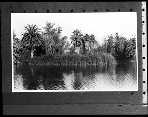 View of Echo (Westlake?) Park, taken from the lake, 1924