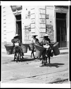 Three people riding donkeys through an intersection in Guadalajara, Jalisco, Mexico, 1937