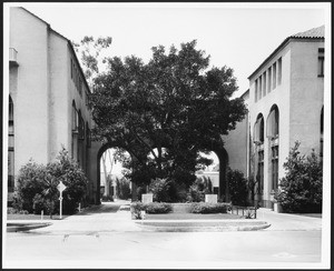 Entrance to the Automobile Club of Southern California building's parking lot, 1923-1940