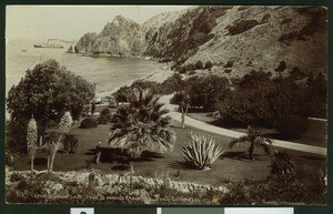 Garden in front of the Banning residence, with Banning's beach in the background, ca.1906