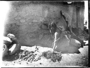 Hopi Indian woman sealing up the piki oven prior to baking in the village of Mishongnovi, ca.1900-1901