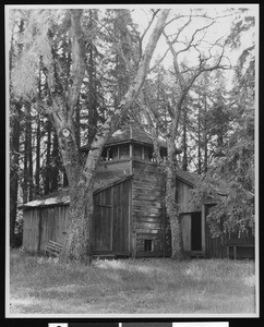 View of redwood stable and water tower near San Mateo, 1937