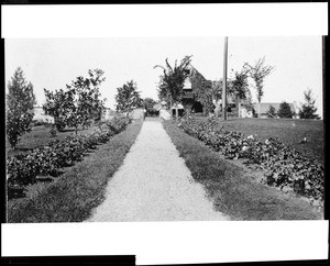 View of the landscaped grounds of the Empire Mine in Grass Valley, ca.1910