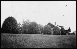 Exterior view of hedges in the garden of the Davis residence