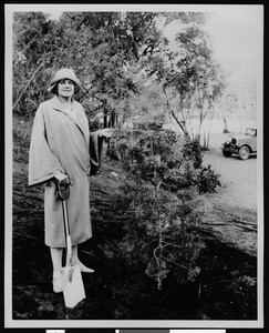 California Botanic Gardens tree planting