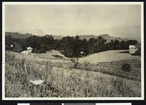 View of crops from hills above, showing a homestead, ca.1925