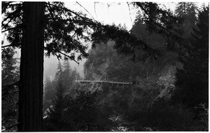 Bridge in Yosemite Valley