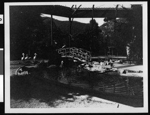 Santa Catalina Island aviary, showing birds in and around a pond