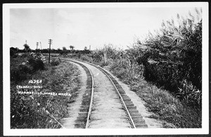 View of railroad tracks in Hermesillo, Sonora, Mexico