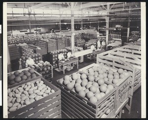 Interior view of a store house filled with sports balls and inspecting workers, ca.1945