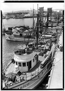 Birdseye view of fishing boats along the San Pedro dock, ca.1920-1939