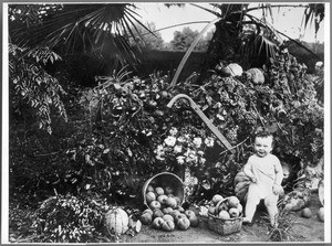 Baby with a California cornucopia