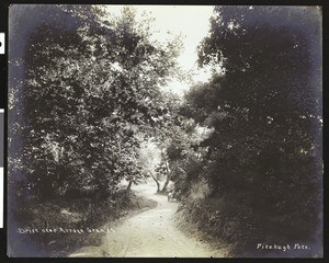 Two-horse cart driving down a winding road near Arizona Grande