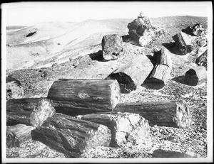 Group of broken pieces of petrified logs in the Petrified Forest of Arizona, ca.1895