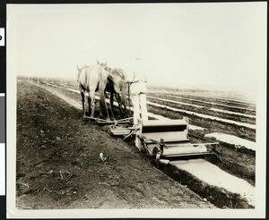 Doty-Wendt Paper laying Machine, Hawaii