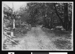 Mill Creek Canyon in Redlands, California, showing a dirt road, ca.1900