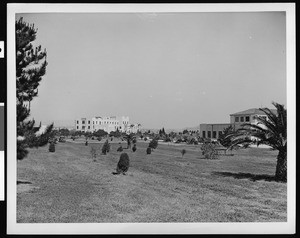 Loyola University campus