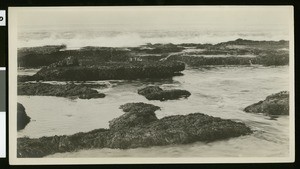 View of surf around rocks in Laguna Beach, ca.1885