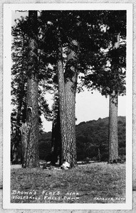 Two people sitting near the base of trees in an open field, Brown's Flats