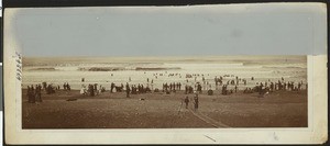 Surf bathing at Seaside, Oregon